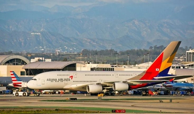 Netizens stunned after flight lands safely despite losing front wheel